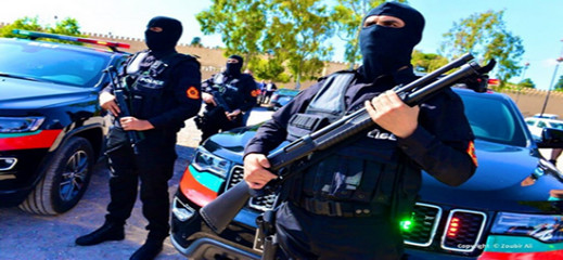 مديرية الأمن الوطني تشارك في النسخة الثانية من التمرين الدولي العابر للحدود الوطنية مديرية الأمن الوطني تشارك في النسخة الثانية من التمرين الدولي العابر للحدود الوطنية