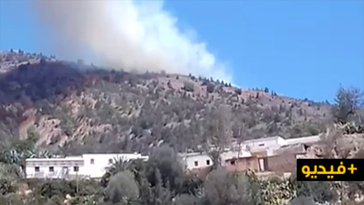 اندلاع حريق ثان بمنقطة غابوية تابعة لإقليم الدريوش