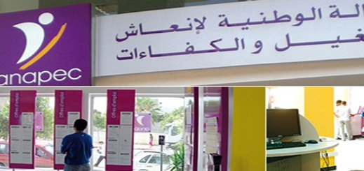 يهم حاملي الشهادات بالريف.. الأنابيك تبحث عن أساتذة للغة العربية للتدريس بالإمارات يهم حاملي الشهادات بالريف.. الأنابيك تبحث عن أساتذة للغة العربية للتدريس بالإمارات