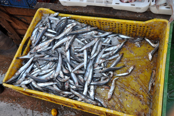 مهنيو سوق السمك بالعروي يعبرون عن سخطهم تجاه الجهات المسؤولة جراء وضعهم المزري