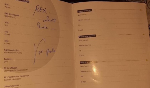 سيدة من بني أنصار تبلغ الشرطة عن تعرض كلبها للسرقة على يد رجل مجهول وتناشد إرجاعه سيدة من بني أنصار تبلغ الشرطة عن تعرض كلبها للسرقة على يد رجل مجهول وتناشد إرجاعه