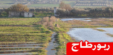 فلاحوا الدويرية بالعروي يناشدون الجهات المسؤولة التدخل لإنقاذهم من واد أصبح يهدد حياتهم ووضيعتهم الفلاحية فلاحوا الدويرية بالعروي يناشدون الجهات المسؤولة التدخل لإنقاذهم من واد أصبح يهدد حياتهم ووضيعتهم الفلاحية