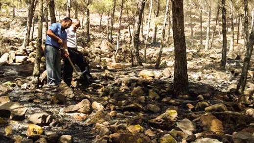 اندلاع حريق مهول وسط غابة "غورغو" نواحي الناظور يستنفر سلطات بني أنصار اندلاع حريق مهول وسط غابة "غورغو" نواحي الناظور يستنفر سلطات بني أنصار