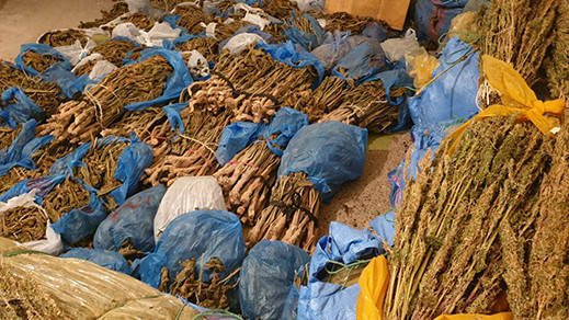درك تمسمان يحجز كمية مهمة من المخدرات في منزل أحد المبحوثين عنهم درك تمسمان يحجز كمية مهمة من المخدرات في منزل أحد المبحوثين عنهم