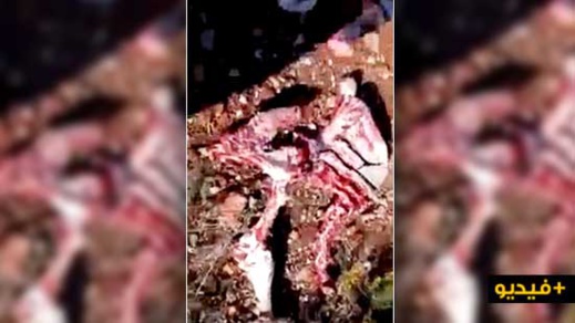 خطير.. العثور على بقايا عظام مجهولة النوع بنواحي "بن الطيب" ومخاوف من كونها غير مراقبة خطير.. العثور على بقايا عظام مجهولة النوع بنواحي "بن الطيب" ومخاوف من كونها غير مراقبة