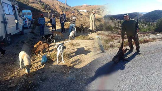 جمعية الصداقة للقنص وحماية البيئة والتنمية تقوم بإحاشة الخنزير البري جمعية الصداقة للقنص وحماية البيئة والتنمية تقوم بإحاشة الخنزير البري