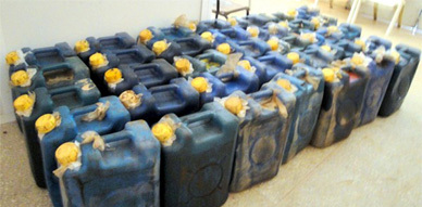 العناصر الأمنية بأزغنغان تحجز سيارة محملة بكمية 900 لتر من البنزين المهرب العناصر الأمنية بأزغنغان تحجز سيارة محملة بكمية 900 لتر من البنزين المهرب