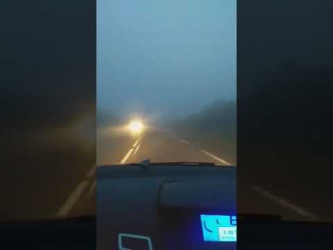 ضباب كثيف على طرقات فرنسا