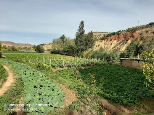 فلاحو غرسيات "القلعة" بتمسمان يعترضون على مشروع بناء سواقي تم تغيير مسارها فلاحو غرسيات "القلعة" بتمسمان يعترضون على مشروع بناء سواقي تم تغيير مسارها