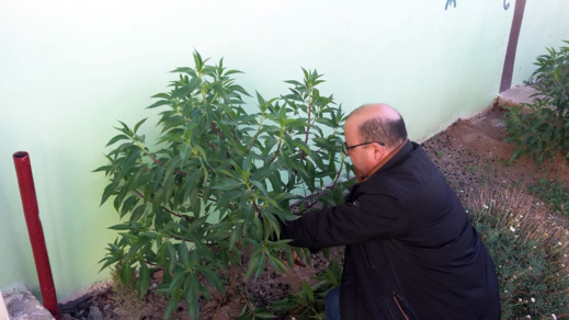 مدرسة "القدس" الابتدائية بأزغنغان تنخرط في الأسبوع الوطني للتعاون المدرسي مدرسة "القدس" الابتدائية بأزغنغان تنخرط في الأسبوع الوطني للتعاون المدرسي