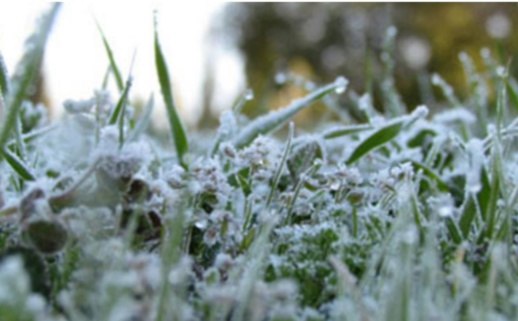 مديرية الأرصاد الجوية تتوقع انخفاضا في درجات الحرارة يصل إلى 2 تحت الصفر مديرية الأرصاد الجوية تتوقع انخفاضا في درجات الحرارة يصل إلى 2 تحت الصفر