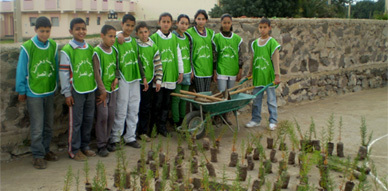نشاط  بيئي وتربوي بمدرسة كم وهدانة ببني أنصار تحت شعار "شجرة من كل تلميذ"