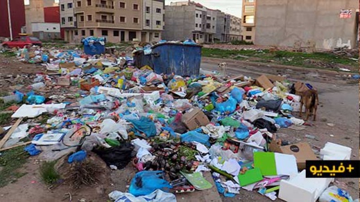 ساكنة الناظور "تتنفس" تحت أكوام الأزبال بعدما غطت معظم شوارع المدينة ساكنة الناظور "تتنفس" تحت أكوام الأزبال بعدما غطت معظم شوارع المدينة