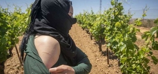 عاملة فراولة مغربية حاولت الانتقام من إسباني بتلفيقه تهمة "الاغتصاب".. فكان هذا مصيرها عاملة فراولة مغربية حاولت الانتقام من إسباني بتلفيقه تهمة "الاغتصاب".. فكان هذا مصيرها