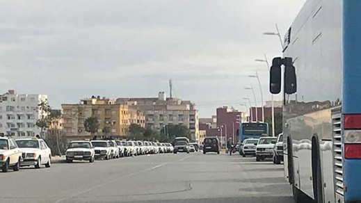 طاكسيات فرخانة تحاصر الحافلات.. والمواطنون يرفضون المس بمكسب النقل العمومي طاكسيات فرخانة تحاصر الحافلات.. والمواطنون يرفضون المس بمكسب النقل العمومي