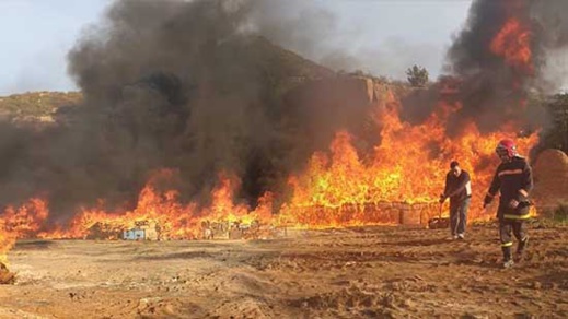 بالصور.. الجمارك تقوم بإتلاف ازيد من 111 مليون درهم من المخدرات بالناظور