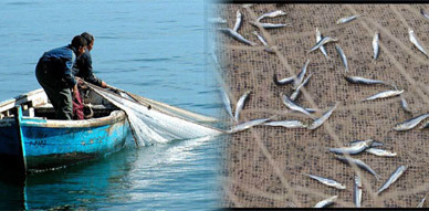 ممارسات غير قانونية داخل بحيرة مارتشيكا تهدد الثروة السمكية والجهات المسؤولة مطالبة بتدخل عاجل وصارم