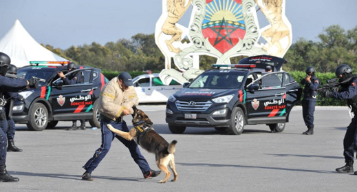احداث 21 مقرا أمنيا جديدا بربوع المملكة خلال سنة 2019 احداث 21 مقرا أمنيا جديدا بربوع المملكة خلال سنة 2019