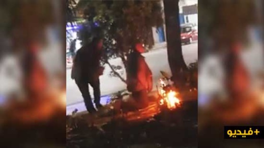مؤسف.. متشردون يخربون حديقة 3 مارس التي تم تجهيزها حديثا بإشعالهم النار وسطها مؤسف.. متشردون يخربون حديقة 3 مارس التي تم تجهيزها حديثا بإشعالهم النار وسطها