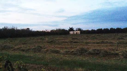 إعلان عن بيع بقعة أرضية فلاحية محفظة تتواجد بالطريق الرئيسي تاويمة سلوان بجماعة بوعارك إعلان عن بيع بقعة أرضية فلاحية محفظة تتواجد بالطريق الرئيسي تاويمة سلوان بجماعة بوعارك