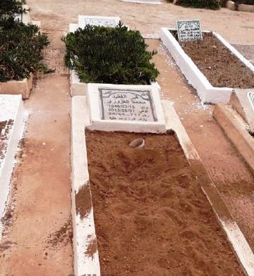 مريع بالصور.. الكلاب تنتهك حرمة مقبرة "سيدي سالم" بالناظور: تحفر القبور وتنهش جثث الموتى