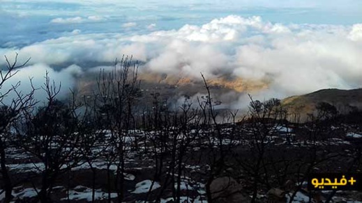 شاهدوا بالفيديو.. بياض الثلوج يغطي سواد الأشجار المتفحمة بغابة أفرني المحروقة شاهدوا بالفيديو.. بياض الثلوج يغطي سواد الأشجار المتفحمة بغابة أفرني المحروقة