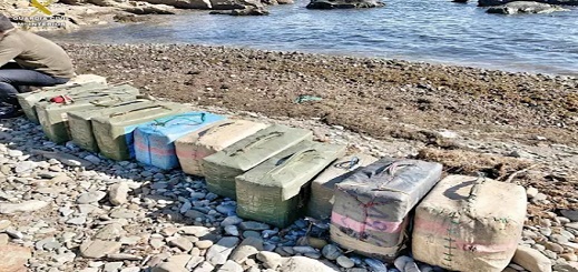 القبض على 12 شخصا وحجز زوارق وطنين من الحشيش بجنوب إسبانيا القبض على 12 شخصا وحجز زوارق وطنين من الحشيش بجنوب إسبانيا