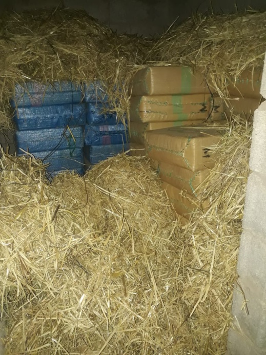 بالصور.. حجز 7 أطنان من المخدرات وأربع سيارات وبنادق صيد وذخيرة