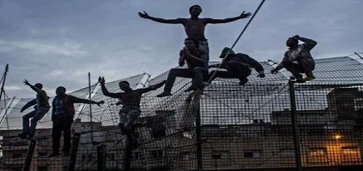 تيتي.. مِنْ قفز سياج مليلية الحدودي إلى العالمية تيتي.. مِنْ قفز سياج مليلية الحدودي إلى العالمية