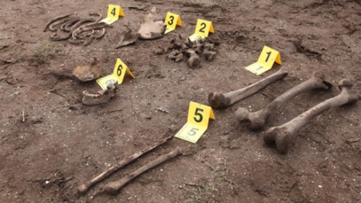 فلاح يعثر على عظام بشرية أثناء قيامه بعمليات للغرس ضواحي الحسيمة فلاح يعثر على عظام بشرية أثناء قيامه بعمليات للغرس ضواحي الحسيمة