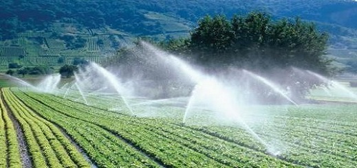 جهة الشمال: 335 مليون درهم لتمويل مشاريع الري بالقطاع الفلاحي