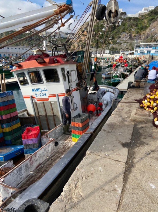 بالصور.. خلو ركاب مراكب الصيد الساحلي التي حلت بميناء الحسيمـة من أعراض فيروس كورونا بالصور.. خلو ركاب مراكب الصيد الساحلي التي حلت بميناء الحسيمـة من أعراض فيروس كورونا