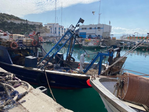 بالصور.. خلو ركاب مراكب الصيد الساحلي التي حلت بميناء الحسيمـة من أعراض فيروس كورونا بالصور.. خلو ركاب مراكب الصيد الساحلي التي حلت بميناء الحسيمـة من أعراض فيروس كورونا