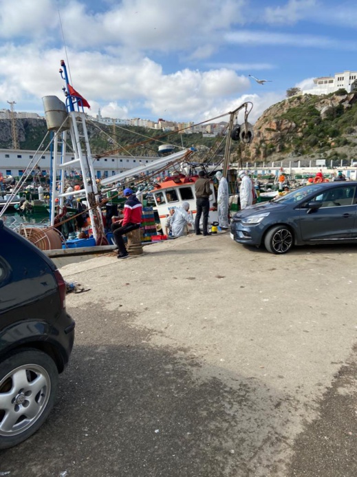 بالصور.. خلو ركاب مراكب الصيد الساحلي التي حلت بميناء الحسيمـة من أعراض فيروس كورونا بالصور.. خلو ركاب مراكب الصيد الساحلي التي حلت بميناء الحسيمـة من أعراض فيروس كورونا