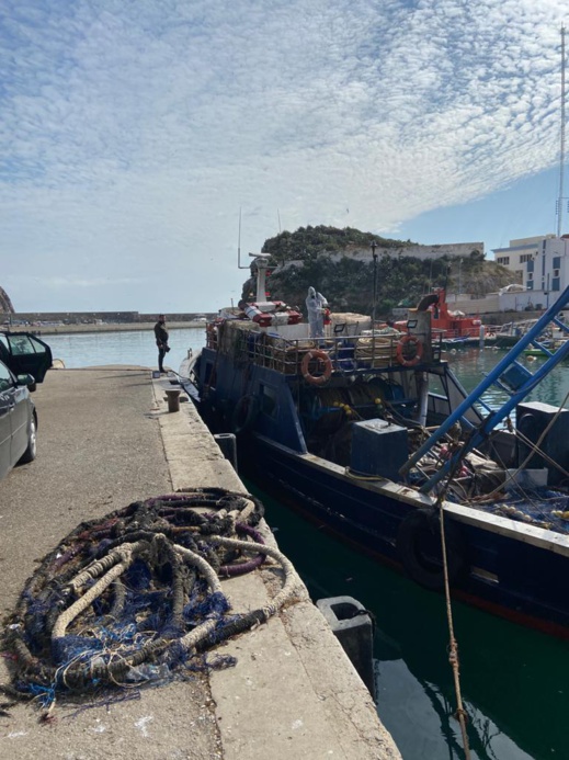 بالصور.. خلو ركاب مراكب الصيد الساحلي التي حلت بميناء الحسيمـة من أعراض فيروس كورونا بالصور.. خلو ركاب مراكب الصيد الساحلي التي حلت بميناء الحسيمـة من أعراض فيروس كورونا