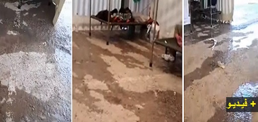 شاهدوا الظروف اللإنسانية التي يعيشها مغاربة داخل "مخيم العار" بعدما علقوا بمليلية بسبب كورونا شاهدوا الظروف اللإنسانية التي يعيشها مغاربة داخل "مخيم العار" بعدما علقوا بمليلية بسبب كورونا