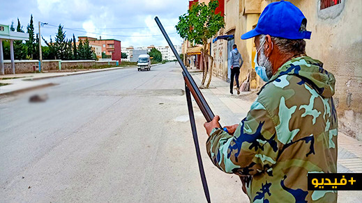 سلطات الناظور تشن حملة لإبادة الكلاب الضالة في المناطق الحضرية 