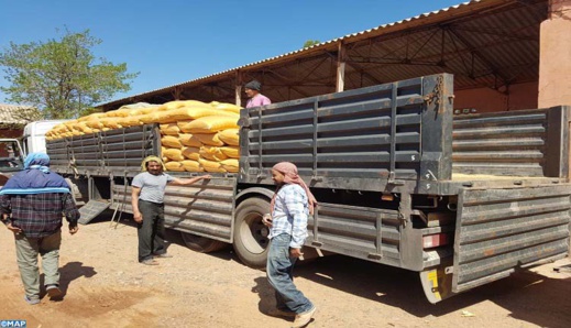 وزارة الفلاحة توزع الشعير المدعم على مربي الماشية بالناظور واقاليم الشرق وزارة الفلاحة توزع الشعير المدعم على مربي الماشية بالناظور واقاليم الشرق