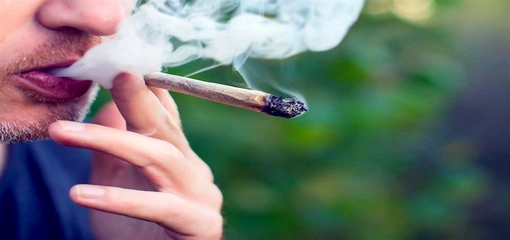 الأطباء يحذرون: تدخين الحشيش يضاعف خطر الإصابة بفيروس كورونا
