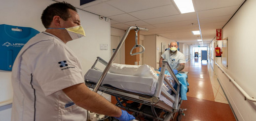 هولندا.. 181 وفاة و1061 إصابة جديدة بـ"كورونا" خلال 24 ساعة هولندا.. 181 وفاة و1061 إصابة جديدة بـ"كورونا" خلال 24 ساعة