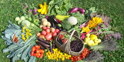 فلاحو جهة الشرق في قلب معركة تأمين تزويد السوق بشكل طبيعي فلاحو جهة الشرق في قلب معركة تأمين تزويد السوق بشكل طبيعي