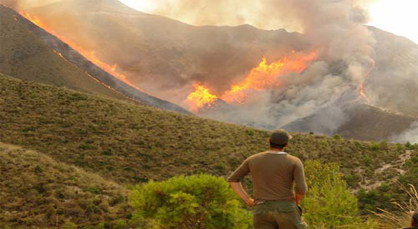 حريق بطنجة يأتي على حوالي 14 هكتارا من الغابة بالجماعة القروية دار الشاوي حريق بطنجة يأتي على حوالي 14 هكتارا من الغابة بالجماعة القروية دار الشاوي