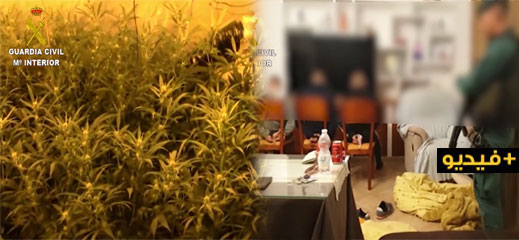 شاهدوا.. تنسيق أمني مغربي اسباني ينجح في تفكيك شبكة كبيرة لتهريب المخدرات وتوقيف العشرات شاهدوا.. تنسيق أمني مغربي اسباني ينجح في تفكيك شبكة كبيرة لتهريب المخدرات وتوقيف العشرات