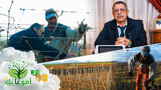 شاهدوا حلقة جديدة من أمو غا نك.. الفلاحة الإيكولوجية وندرة المياه شاهدوا حلقة جديدة من أمو غا نك.. الفلاحة الإيكولوجية وندرة المياه