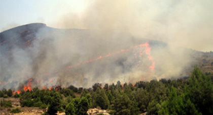 حريق مهول يأتي على عشرات الهكتارات من غابات المنتزه الوطني بالحسيمة حريق مهول يأتي على عشرات الهكتارات من غابات المنتزه الوطني بالحسيمة