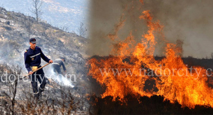 ألسنة النيران تواصل زحفها بغابة كبدانة وتلتهم أزيد من 150 هكتار من الغطاء الغابوي ألسنة النيران تواصل زحفها بغابة كبدانة وتلتهم أزيد من 150 هكتار من الغطاء الغابوي