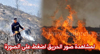 وفاة عنصر من القوات المساعدة في حادث حريق غابة كبدانة وتدخل 220 عنصرا أمنيا وفاة عنصر من القوات المساعدة في حادث حريق غابة كبدانة وتدخل 220 عنصرا أمنيا