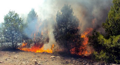 السيطرة على الحريق الذي اندلع في الحديقة الوطنية بالحسيمة السيطرة على الحريق الذي اندلع في الحديقة الوطنية بالحسيمة