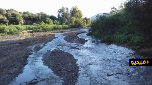 شاهدوا.. عودة المياه الى ينابيع واد أمقران ترسم لوحة فنية طبيعية غاية في الروعة شاهدوا.. عودة المياه الى ينابيع واد أمقران ترسم لوحة فنية طبيعية غاية في الروعة
