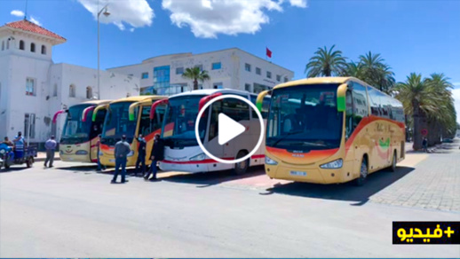 شاهدوا المباشر.. سلطات الناظور تجهز الحافلات لنقل المغاربة العالقين بمليلية